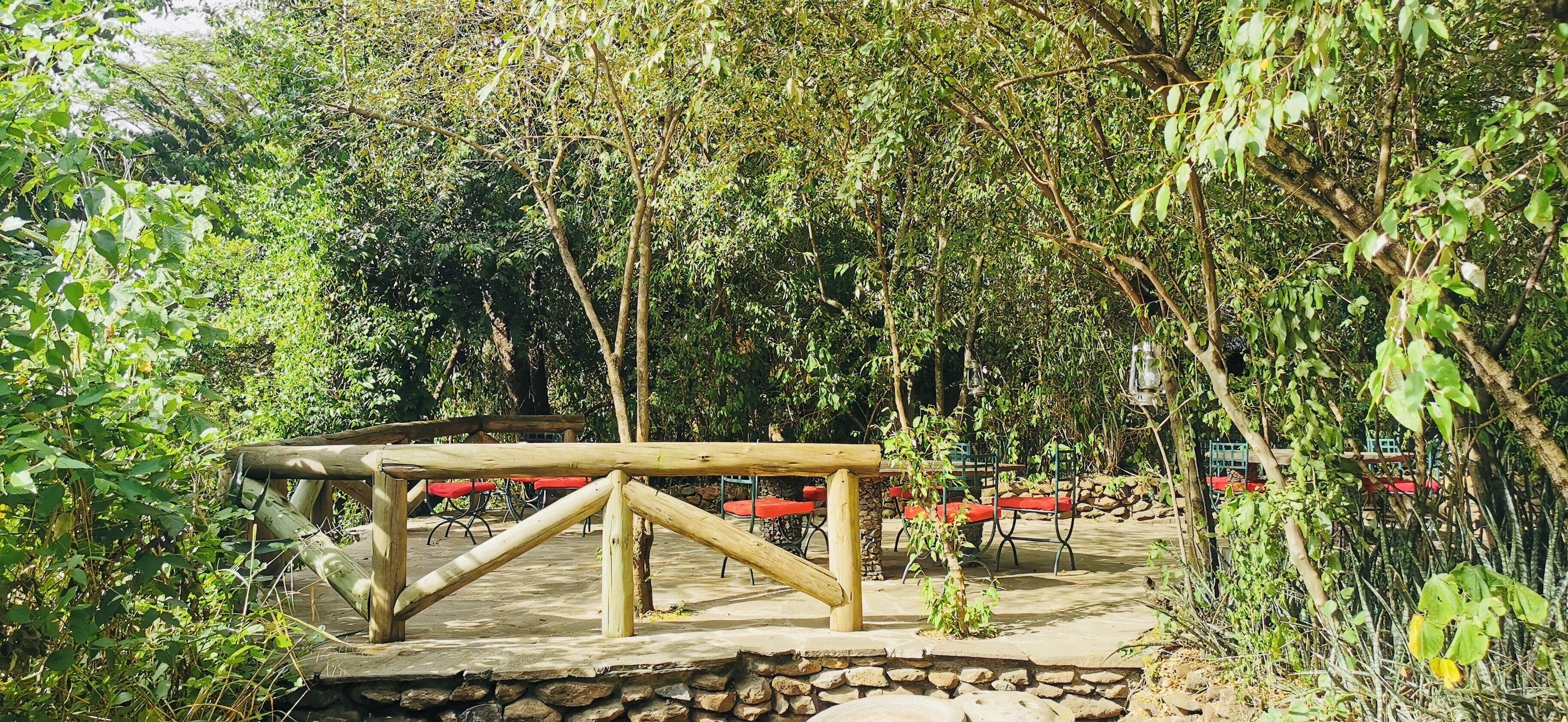 Una terraza de madera con paredes de piedra, rodeada de follaje denso y árboles.