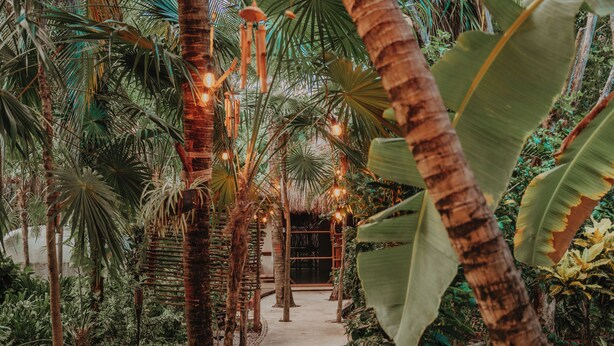 A pathway lined with palm trees and hanging lights, leading to a structure with a thatched roof. - Petit Lafitte Beachfront Hotel & Bungalows (Playa del Carmen)