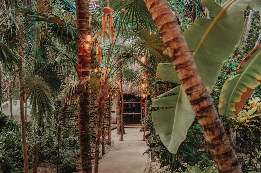 Petit Lafitte Beachfront Hotel & Bungalows