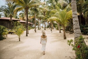A sandy path lined with palm trees and a wooden building.