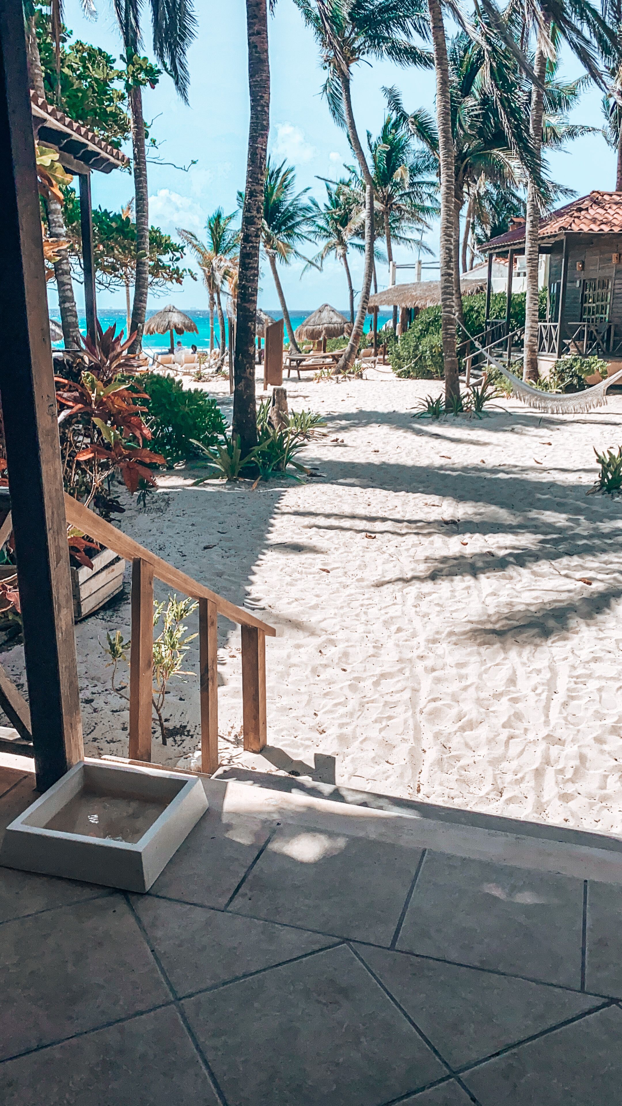 A beach view with a wooden staircase leading to a covered area, palm trees, and a clear sky.