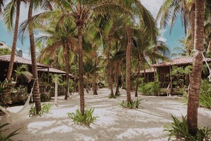 A tropical resort with palm trees, a hammock, and a thatched-roof building. - Petit Lafitte Beachfront Hotel & Bungalows (Playa del Carmen)
