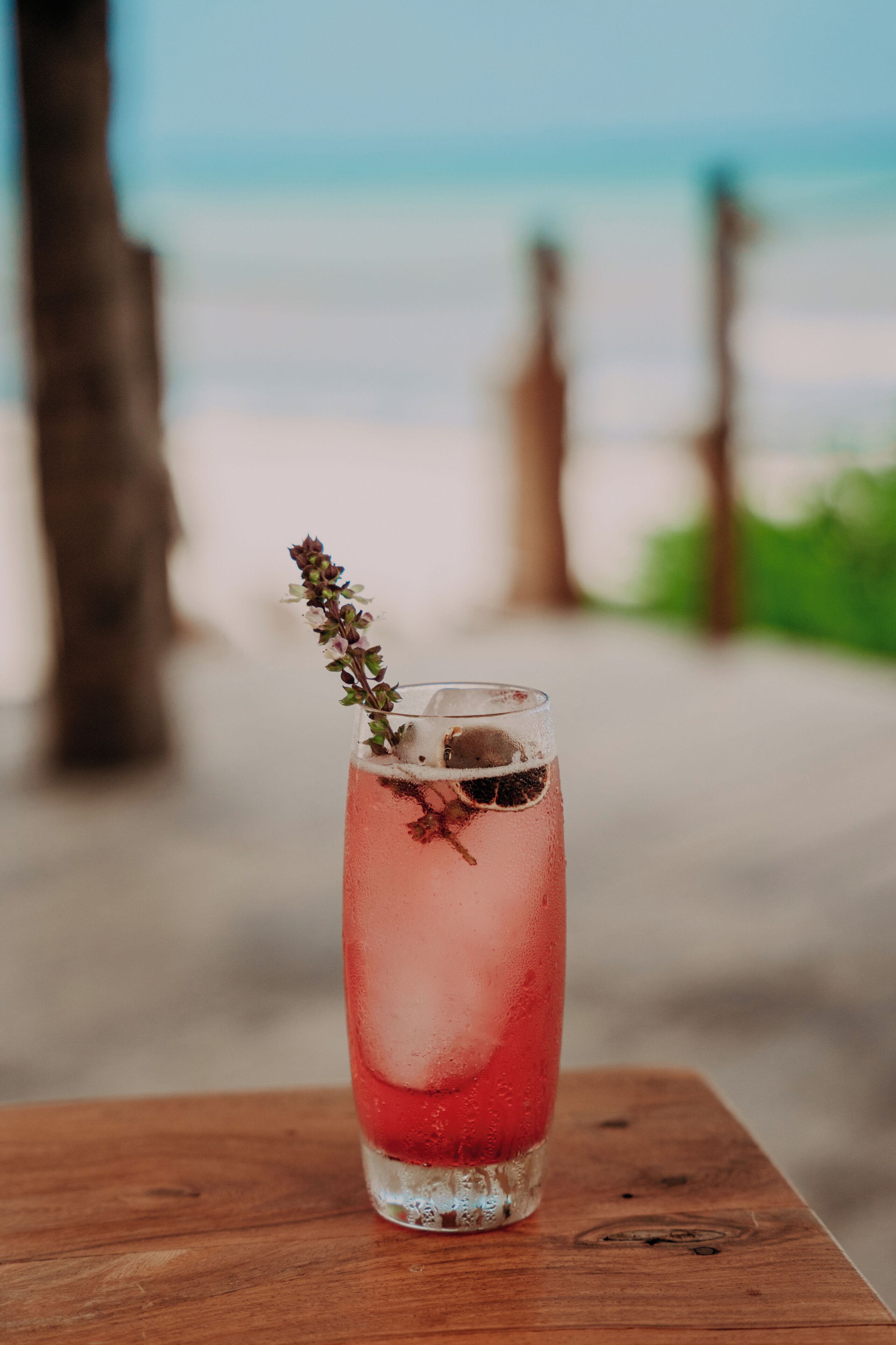 Foto - Petit Lafitte Beachfront Hotel & Bungalows