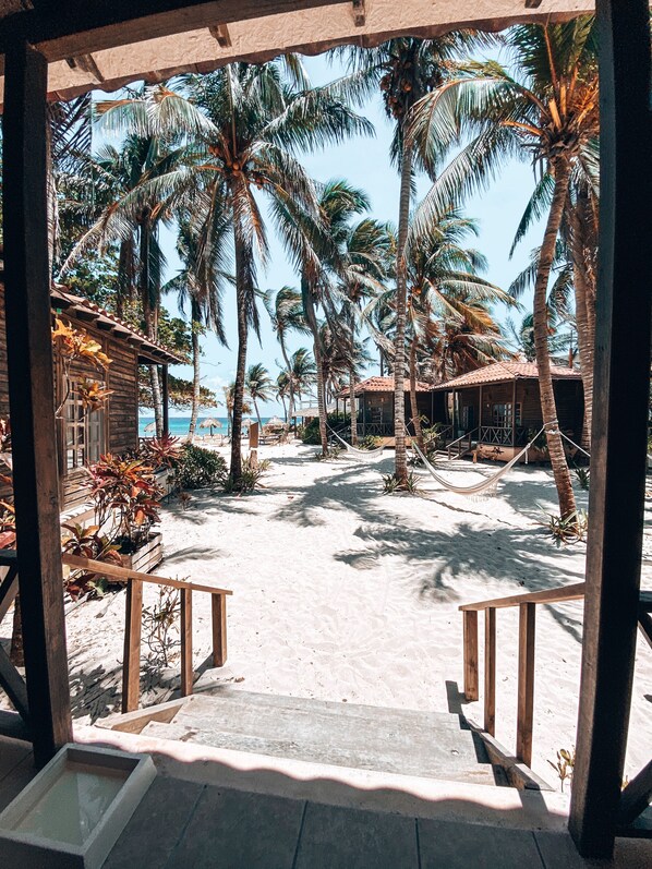 A beach view with palm trees, a wooden structure, and a sandy path leading to a beach.