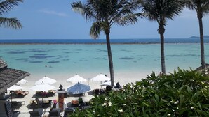 Un resort frente a la playa con sillones, sombrillas y palmeras.