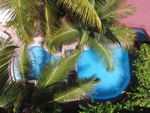 Outdoor pool, open 6:30 AM to 8:30 PM, pool umbrellas, pool loungers - Hotel Silberstein (Puerto Ayora)