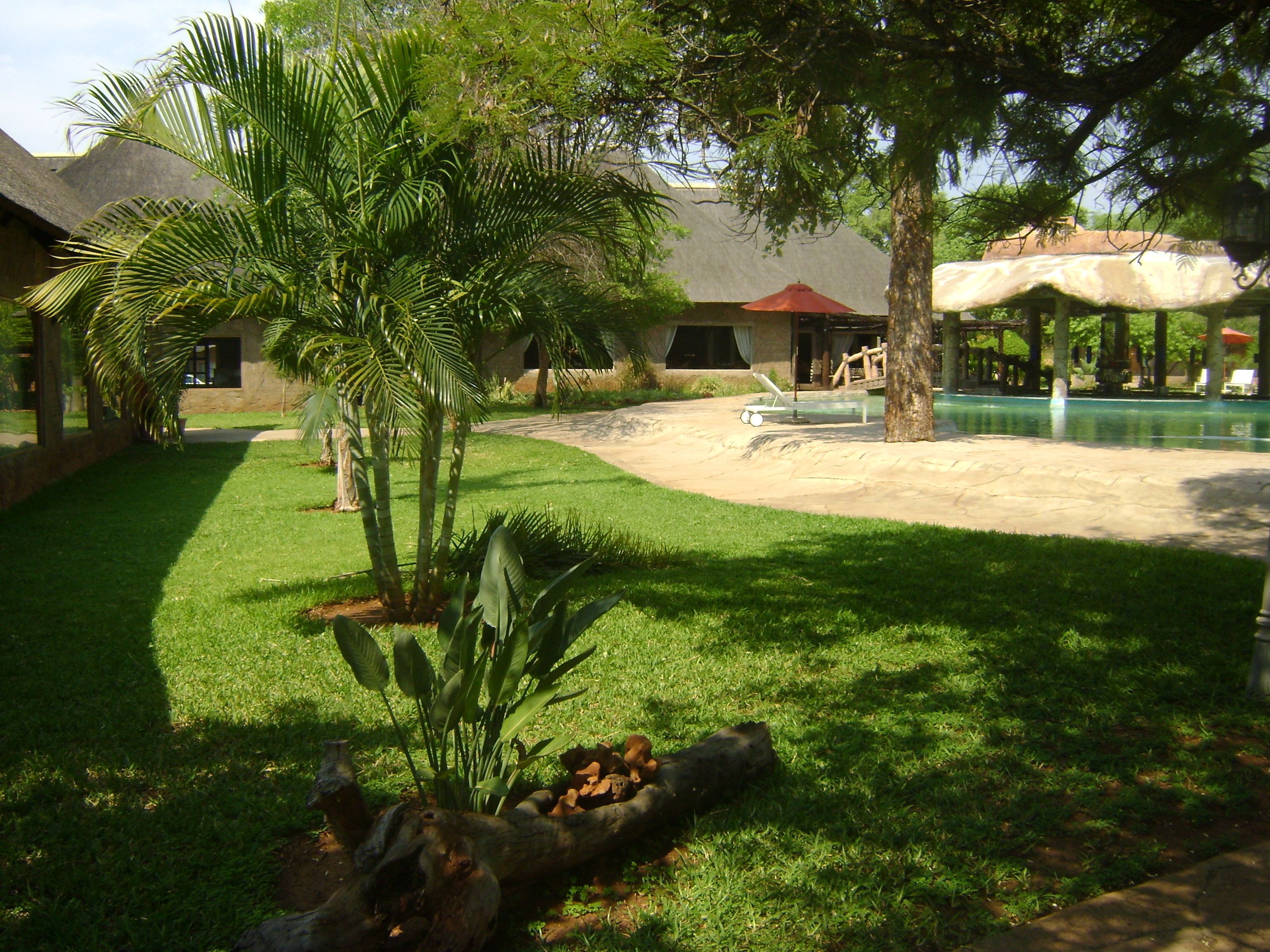 Un espacio exterior bien cuidado con piscina, palmeras y una estructura de techo de paja.