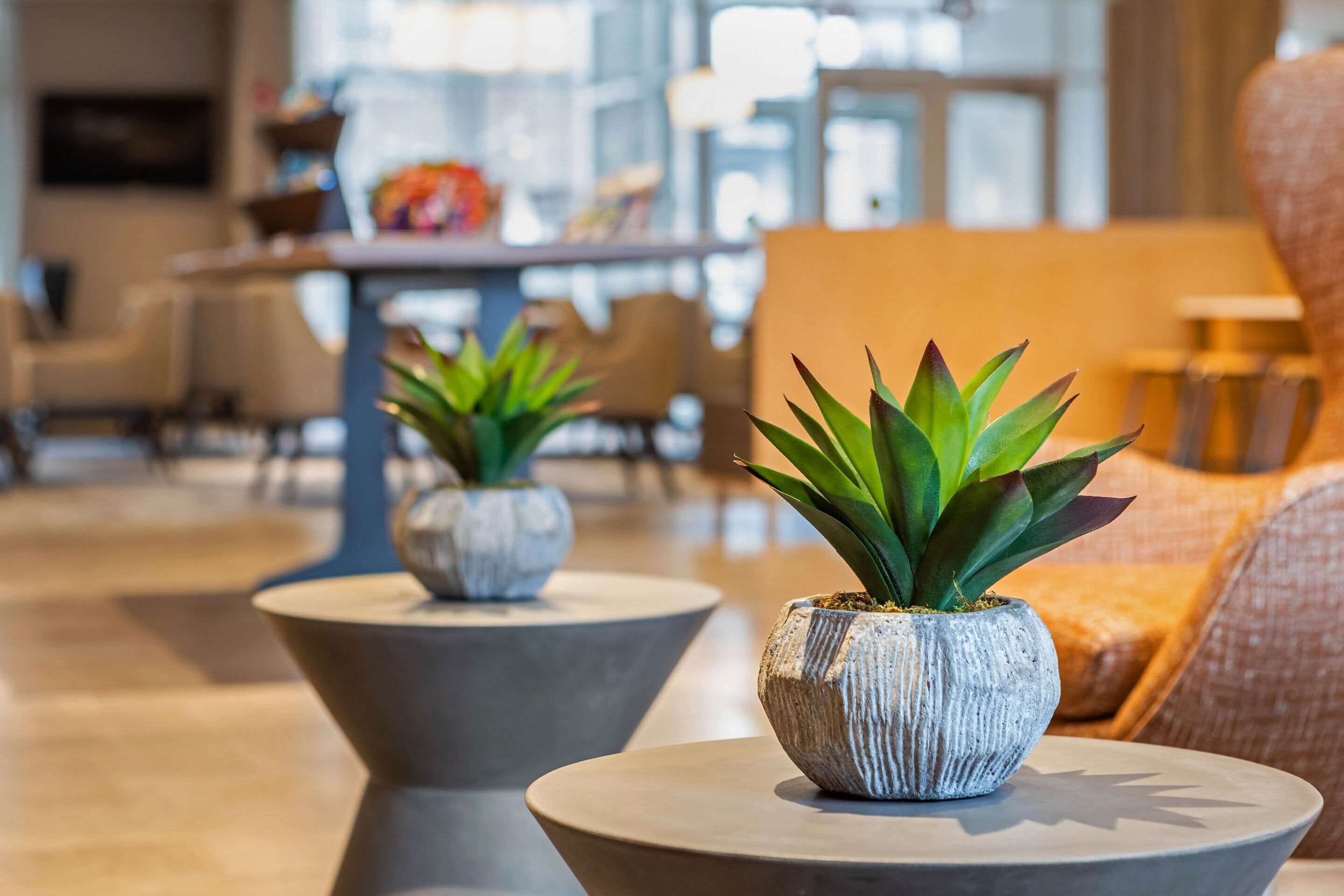 Photo - Cambria Hotel Fort Lauderdale Beach