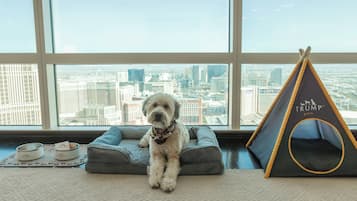 Een hond zit op een grijs hondenbed, met zicht op de stad door grote ramen.