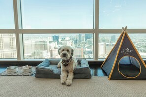 Ein Hund sitzt auf einem grauen Hundebett mit Blick auf die Stadt durch große Fenster.