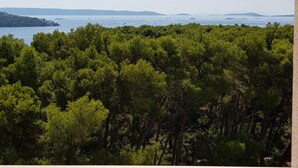 A balcony with a view of a forested area and a body of water in the distance. - Aparthotel Astoria (Seget)