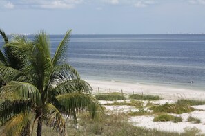 A beach with a palm tree and a distant city skyline. - Ocean's Reach Condominiums (Sanibel)