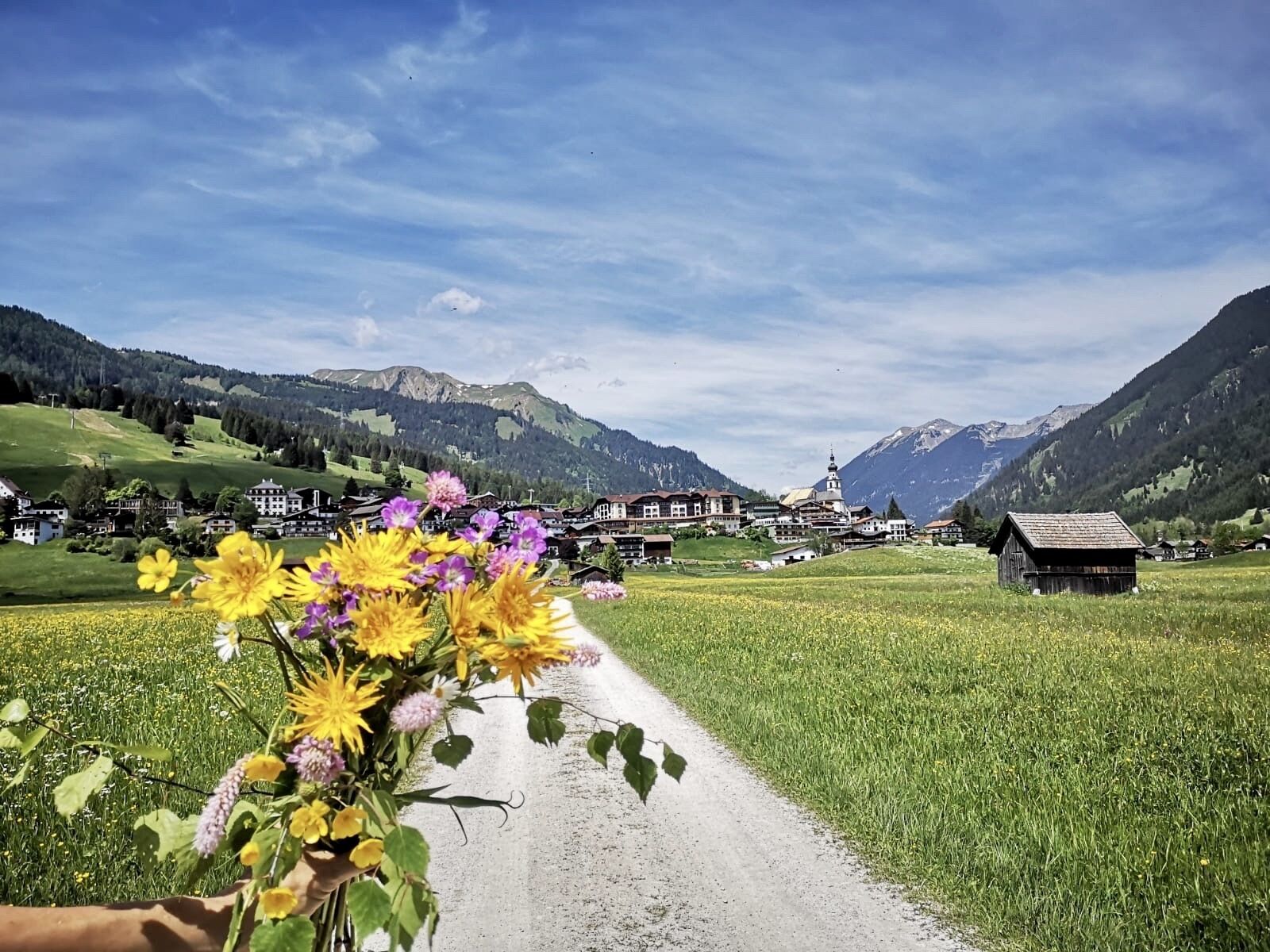 Eine Landstraße mit einem Blumenstrauß im Vordergrund, umgeben von grünen Feldern und Bergen im Hintergrund.