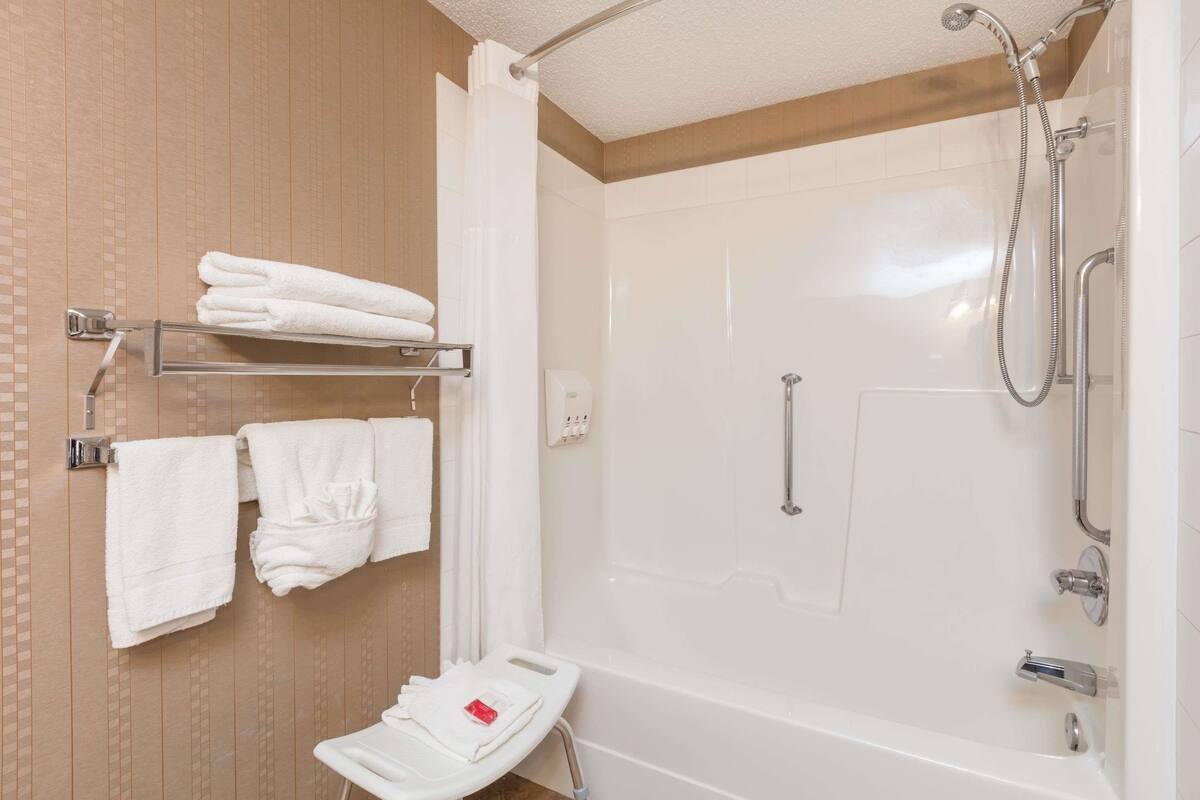 combined shower/bathtub, free toiletries, hair dryer, towels