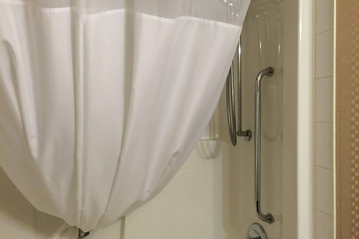 combined shower/bathtub, free toiletries, hair dryer, towels