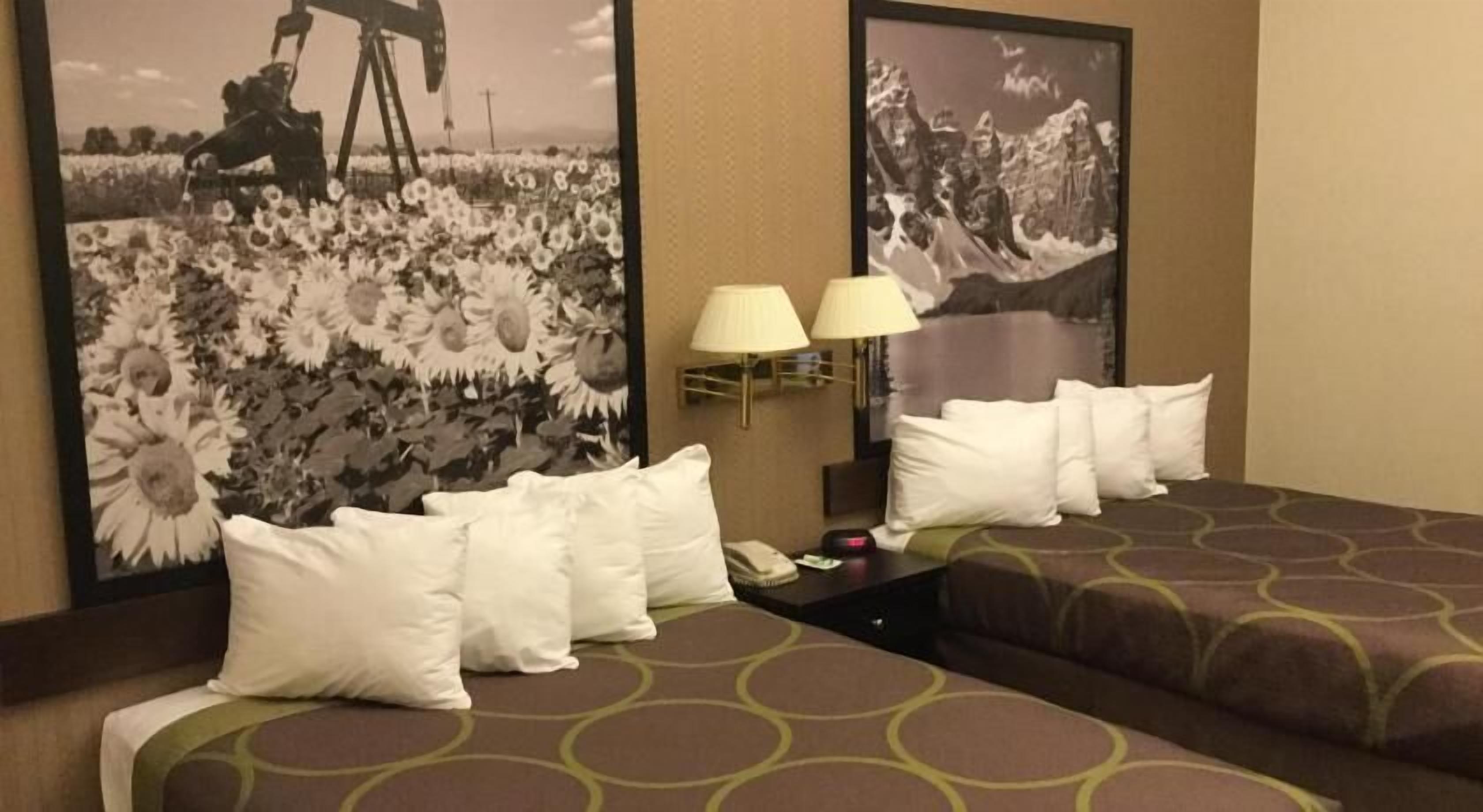 Desk, blackout drapes, iron/ironing board, free cribs/infant beds