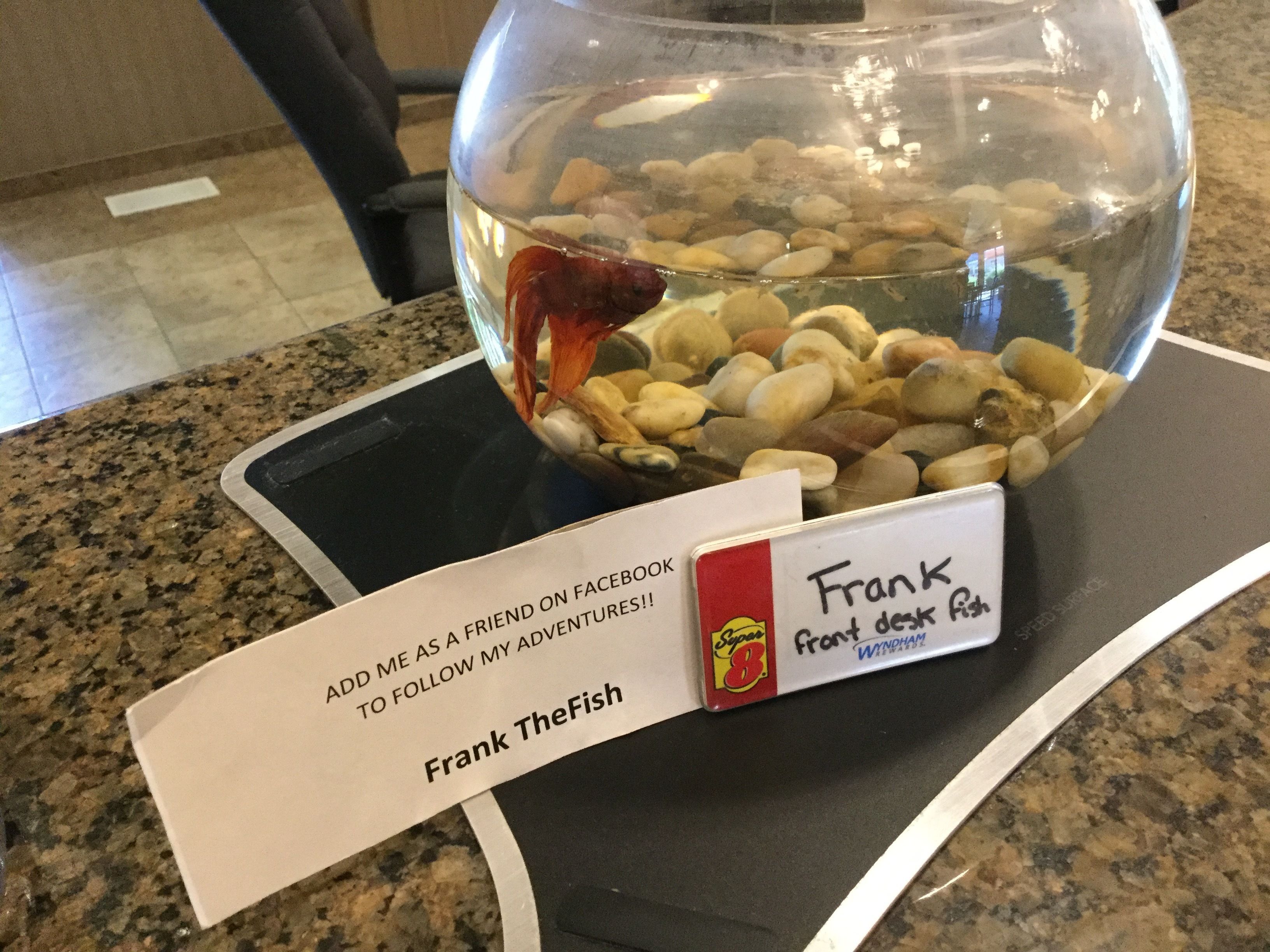 children’s activities