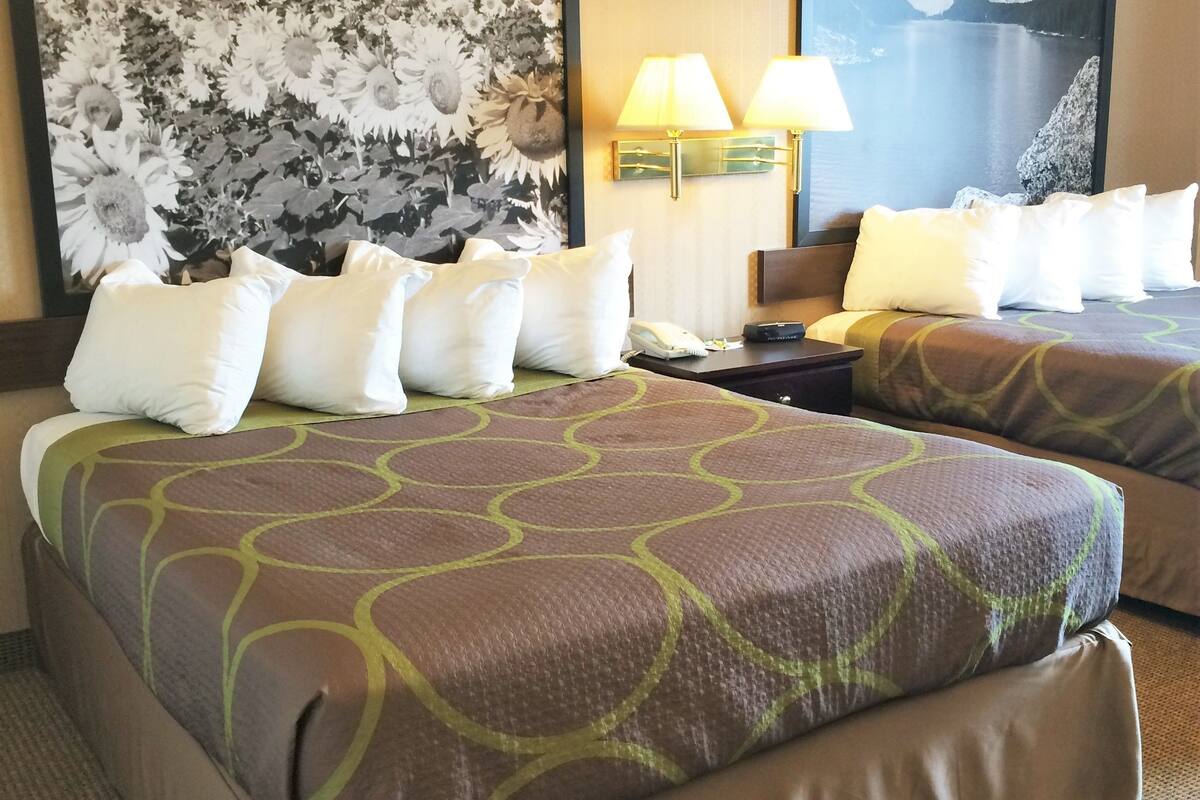 standard room, 2 queen beds, smoking | desk, blackout curtains, iron/ironing board, free cots/infant beds