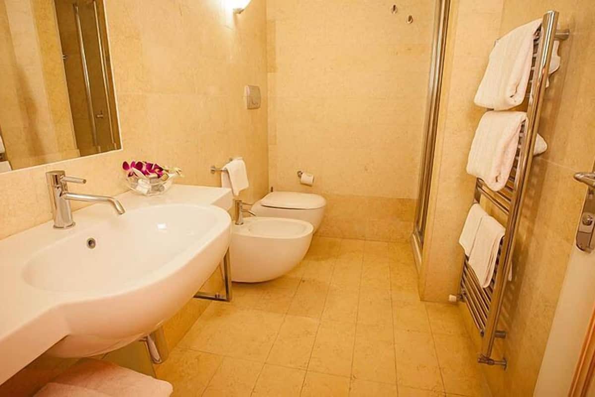 shower, rainfall showerhead, hair dryer, bidet