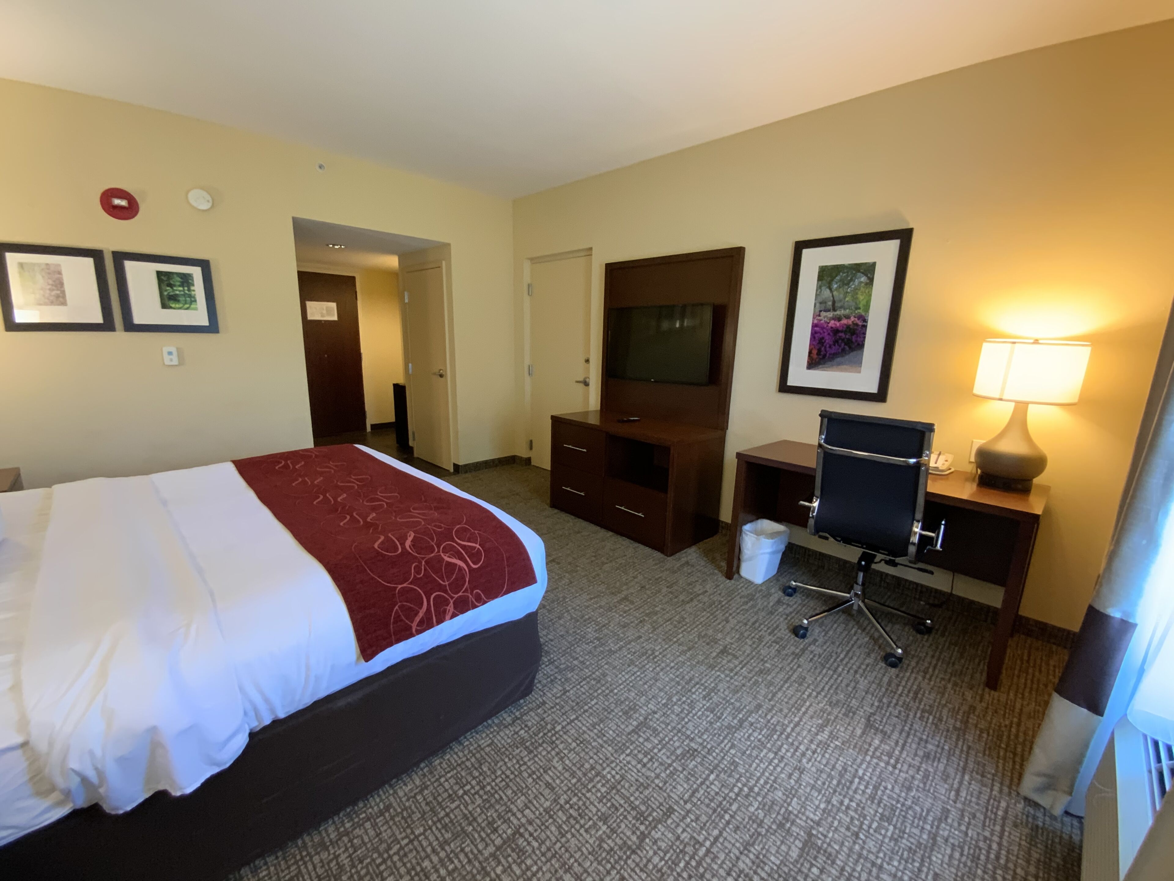 A hotel room with a large bed, a desk with a chair, a TV, a lamp, and a trash bin.