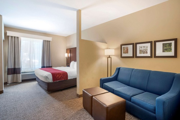 1 King Bed with Double Sized Sofa bed, Accessible, Non Smoking | Desk, laptop workspace, iron/ironing board, free WiFi