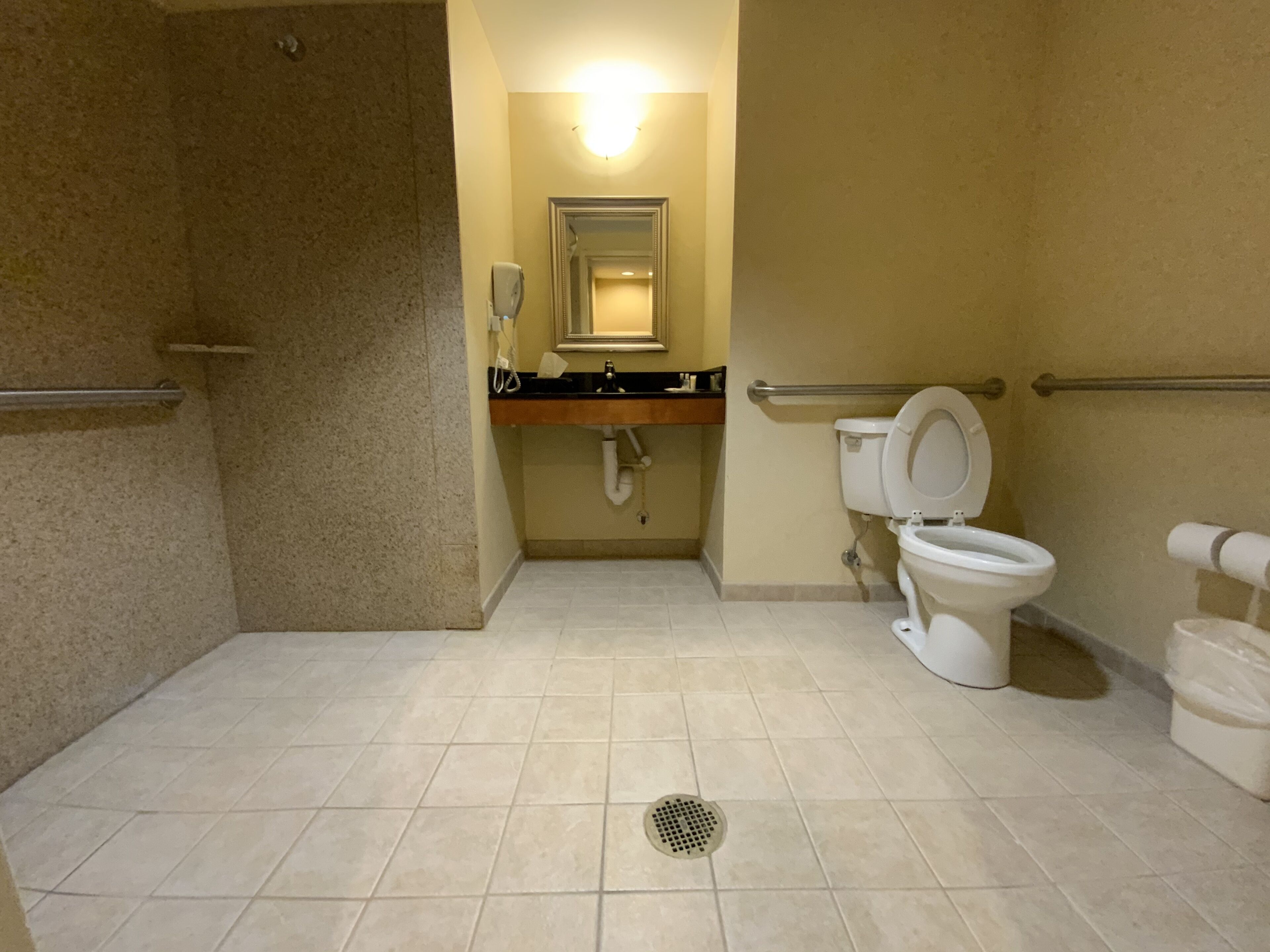 Une salle de bain équipée de toilettes, d’un lavabo, d’un miroir et d’une barre d’appui.