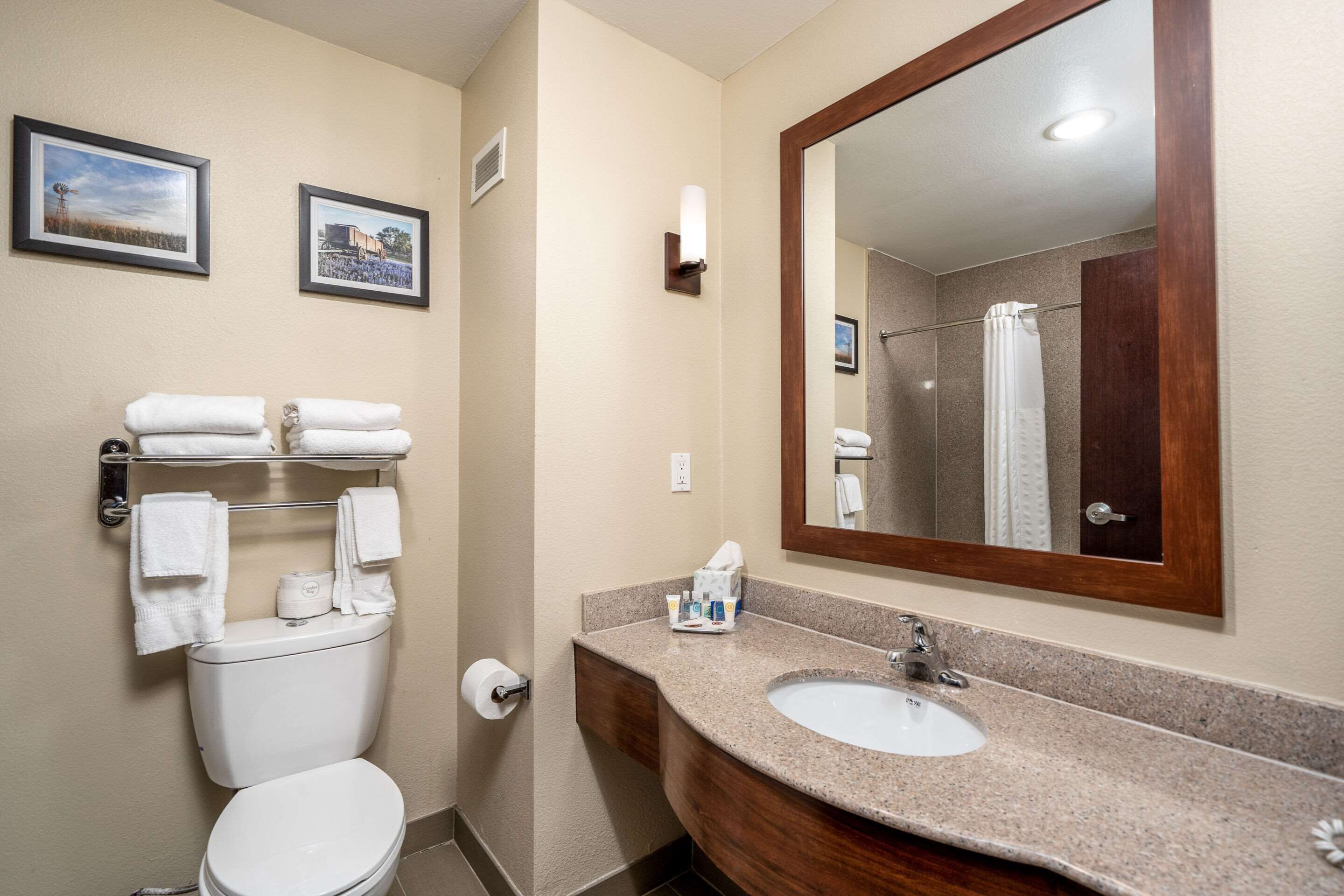 Photo - Comfort Suites University