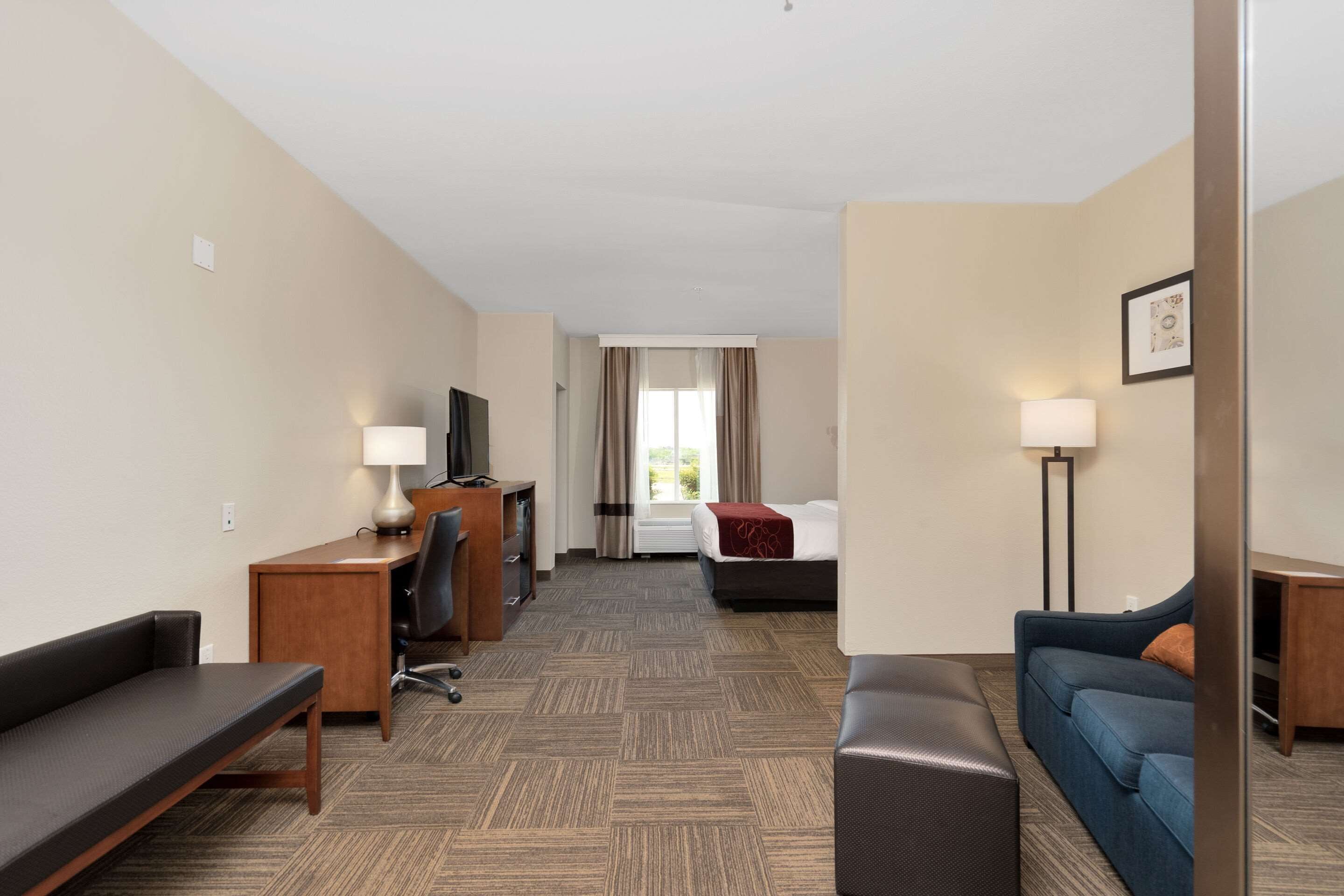 Photo - Comfort Suites University