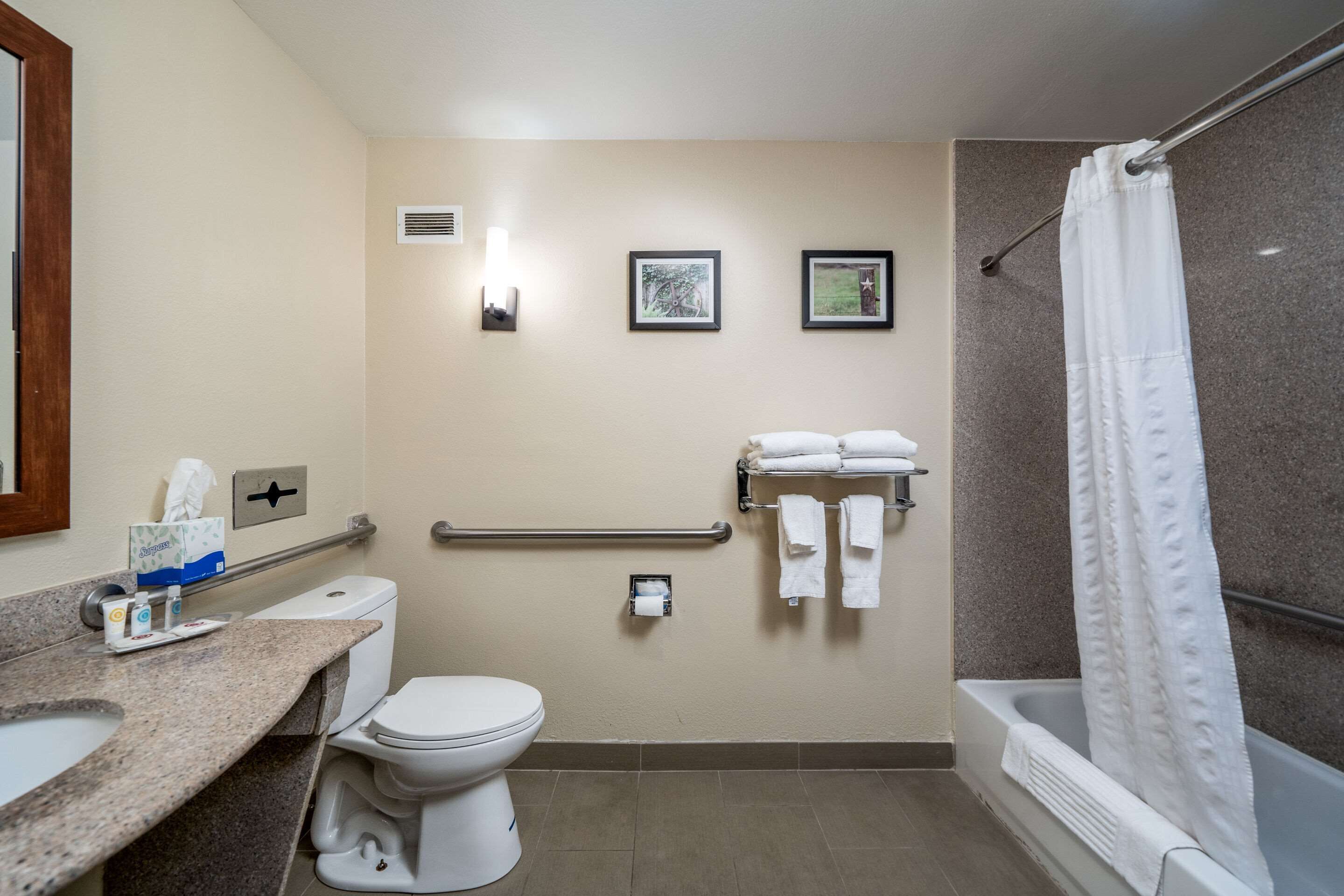 Photo - Comfort Suites University