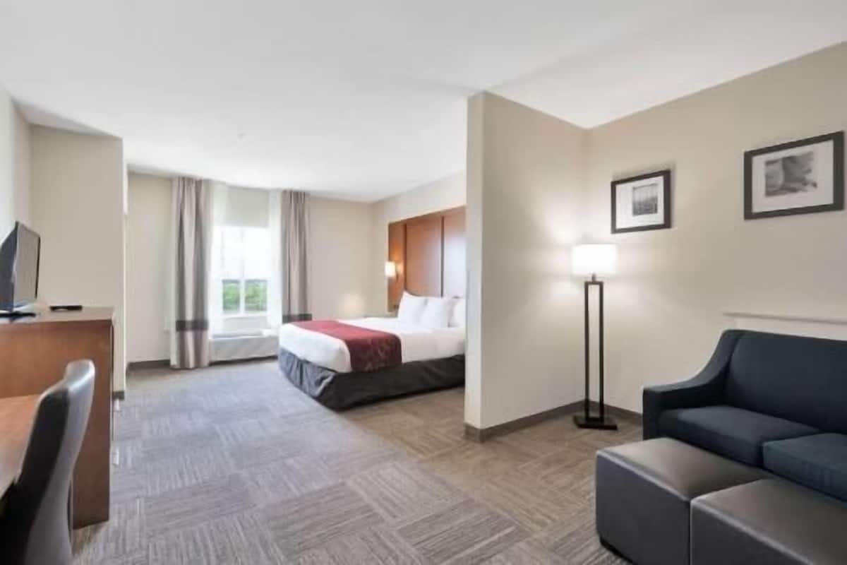 A hotel room with a bed, a desk, a chair, a sofa, a lamp, and a window with curtains.