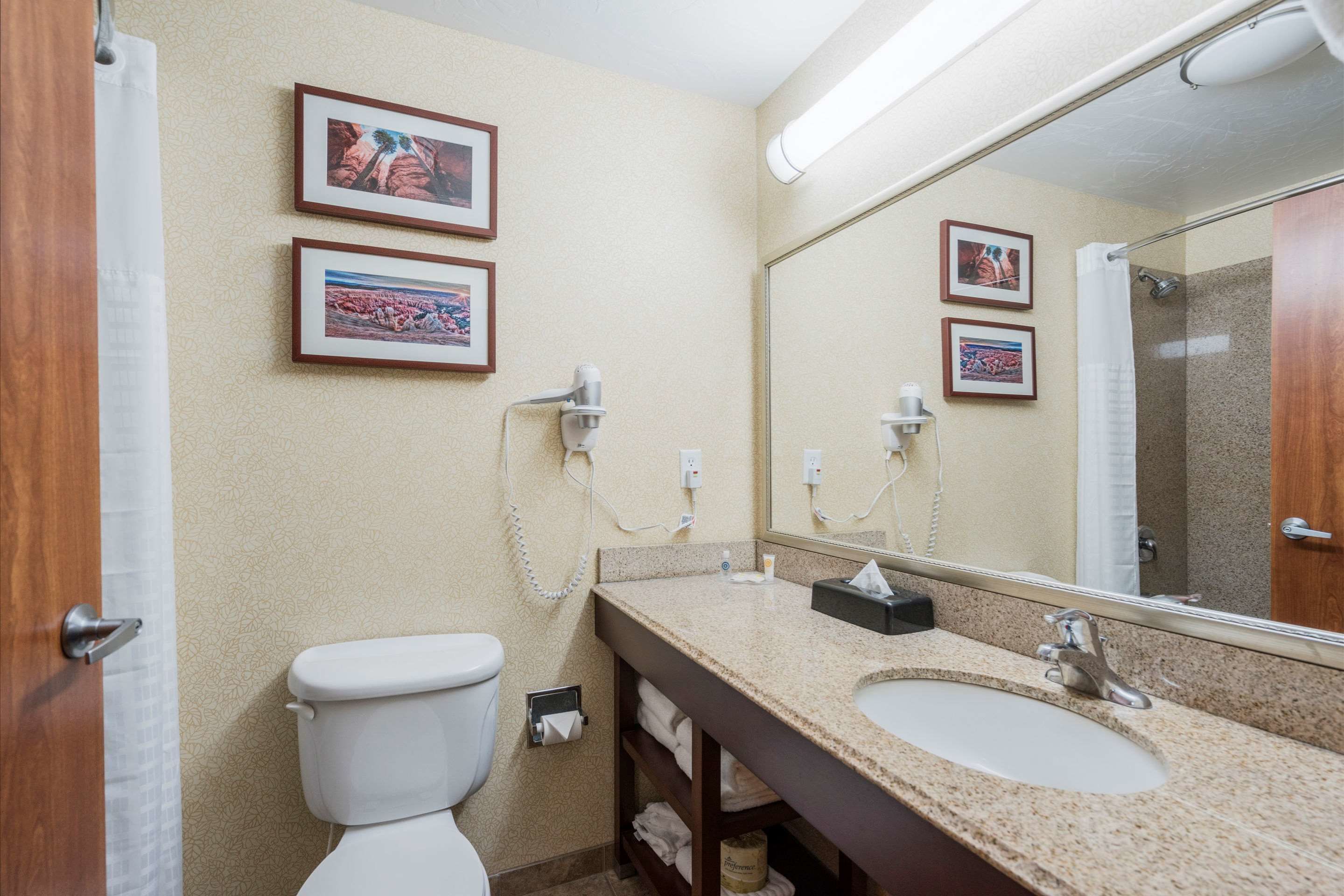 A bathroom with a toilet, sink, and mirror. There are framed pictures on the wall and a shower curtain.