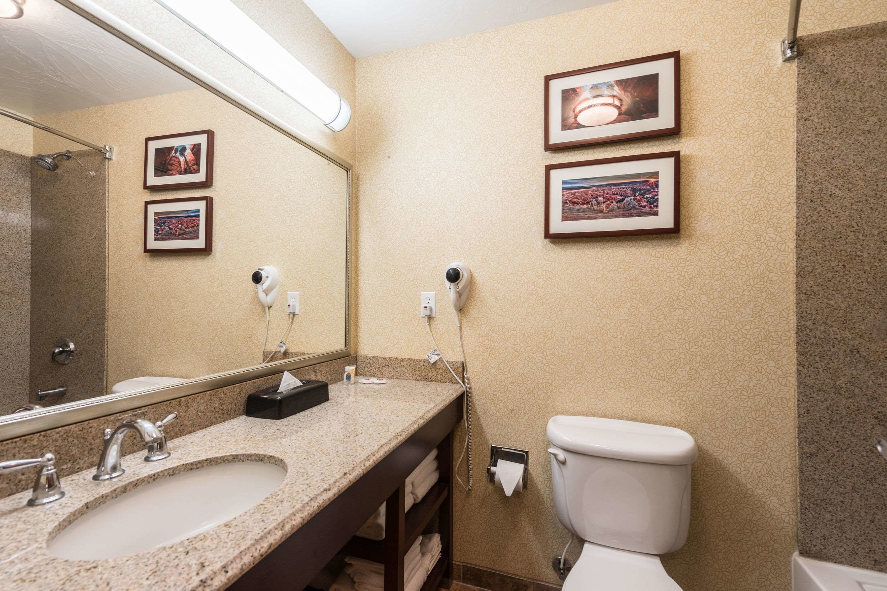 A bathroom with a granite countertop sink, a mirror, a toilet, and two framed pictures on the wall.