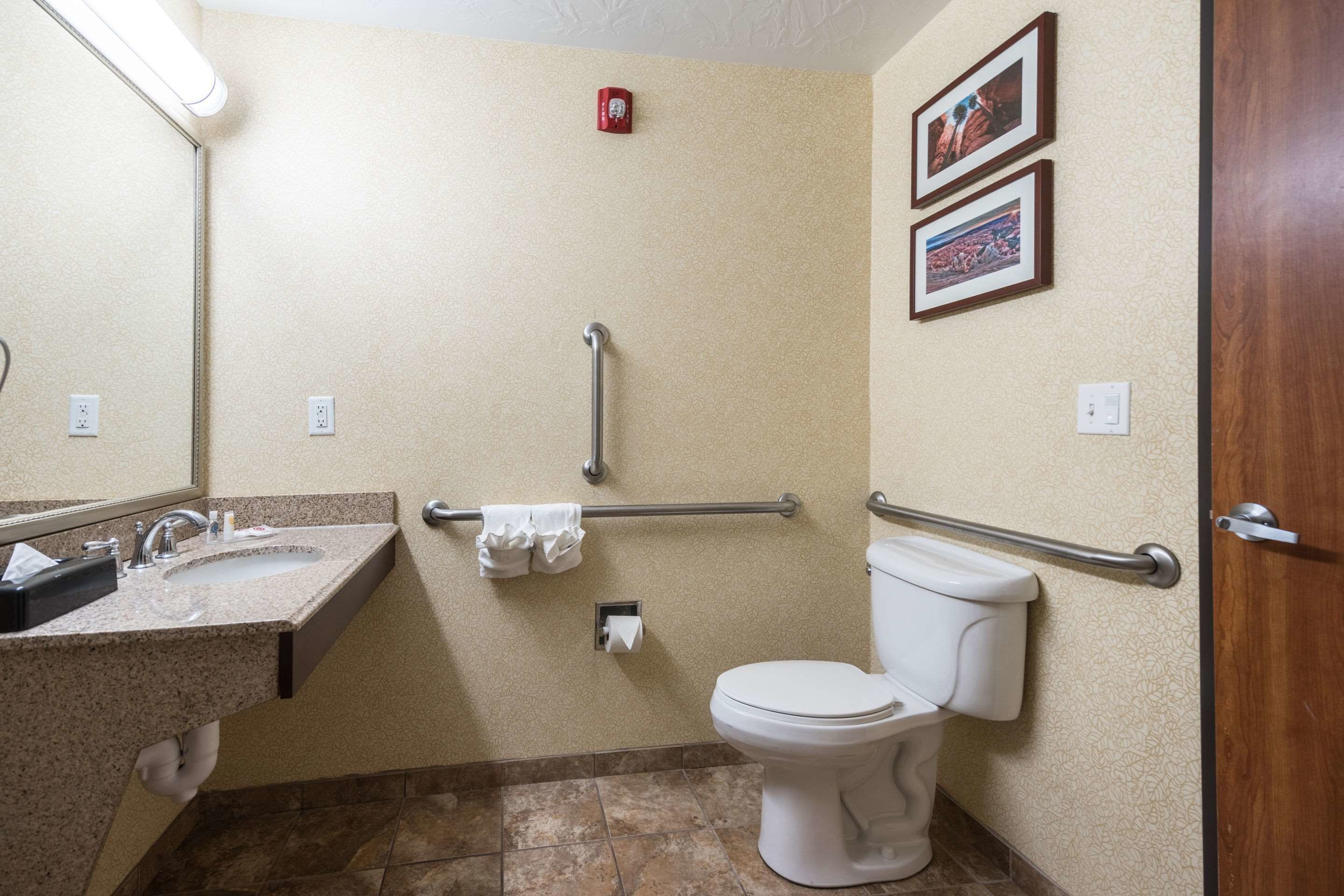 A bathroom with a sink, toilet, and handrails.