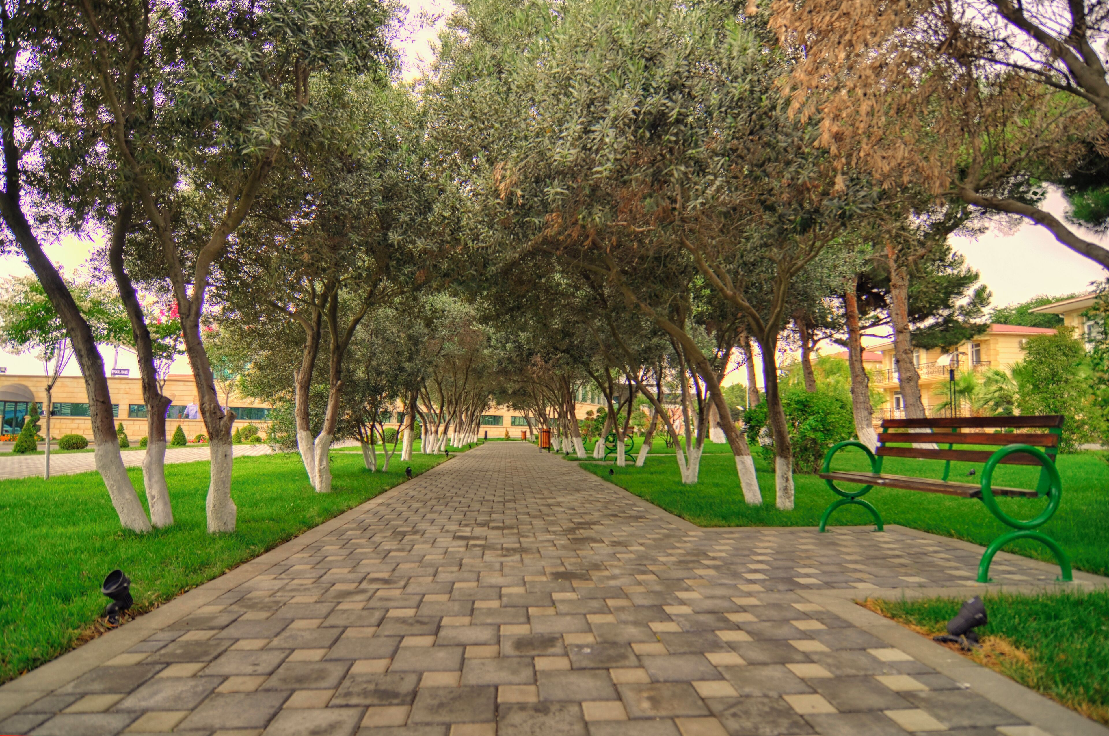 Foto - Ramada by Wyndham Baku