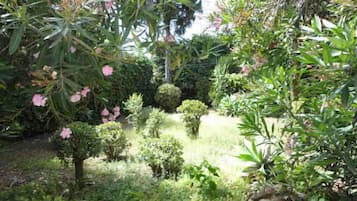 Taman