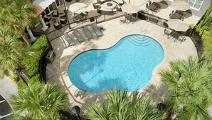 An outdoor swimming pool with lounge chairs and umbrellas, surrounded by palm trees and a covered seating area. - Residence Inn Tampa Suncoast Parkway at NorthPointe Village (Lutz)