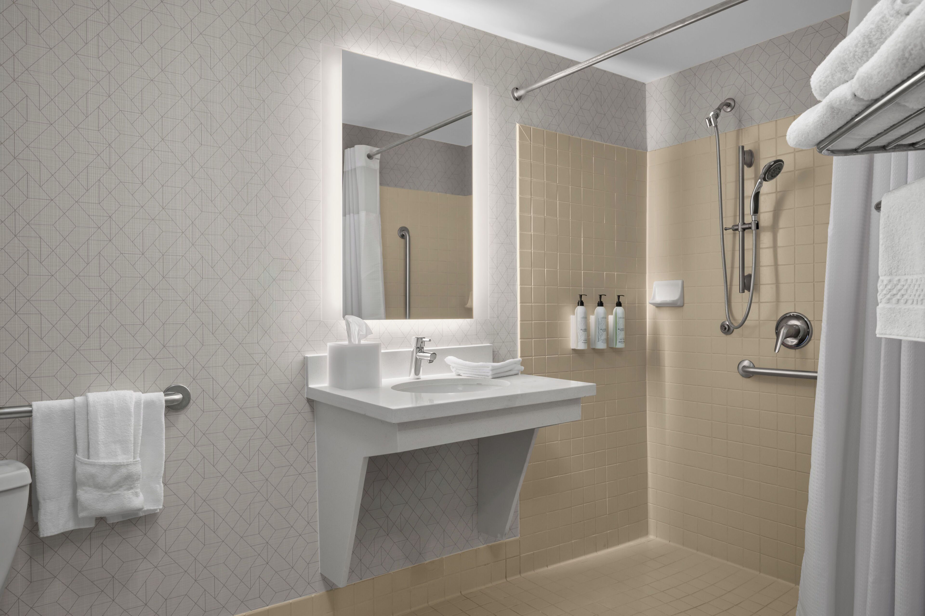 suite, 1 bedroom (mobility/hearing access, roll-in shwr) | bathroom | combined shower/bathtub, free toiletries, hair dryer, towels