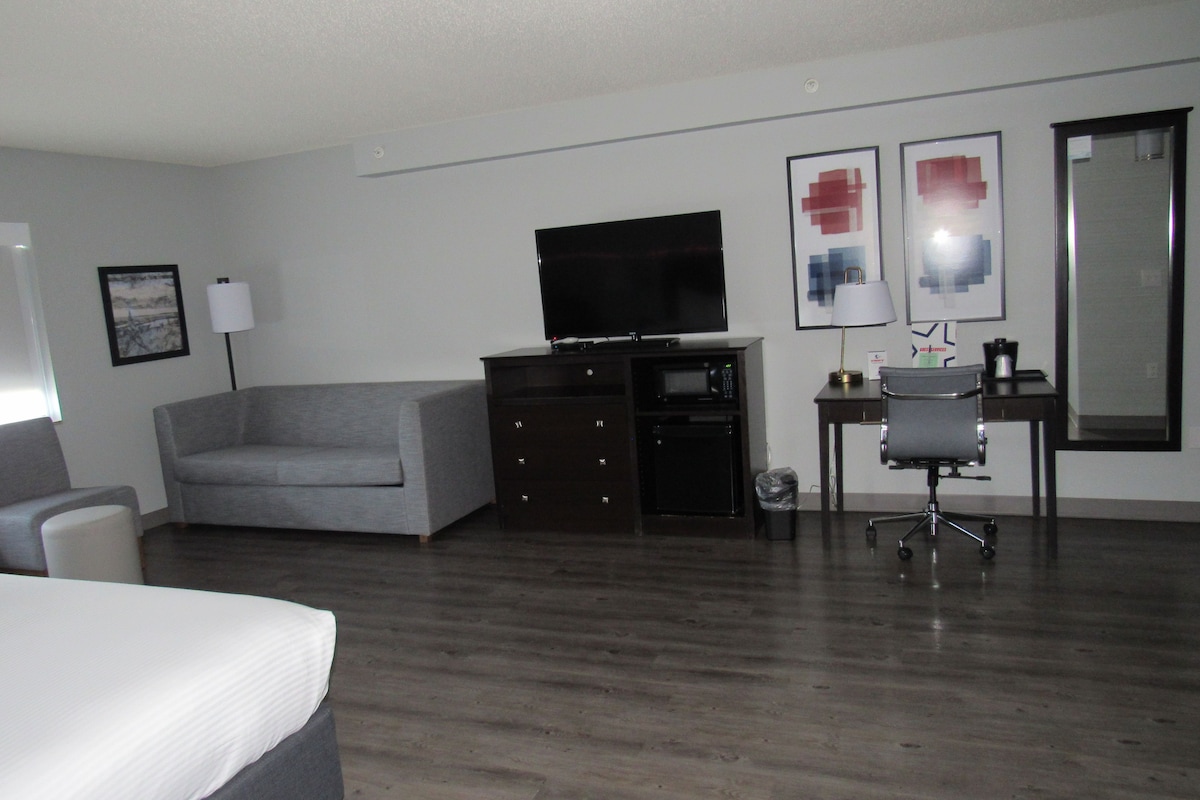 Room, 1 King Bed, Non Smoking, Jetted Tub (Sofa) | Desk, laptop workspace, blackout curtains, soundproofing