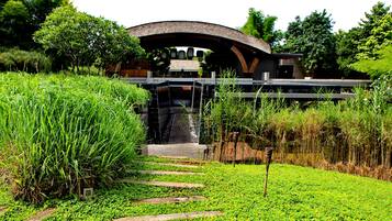 A garden pathway leading to a modern building with a curved roof, surrounded by lush greenery and a small water feature.