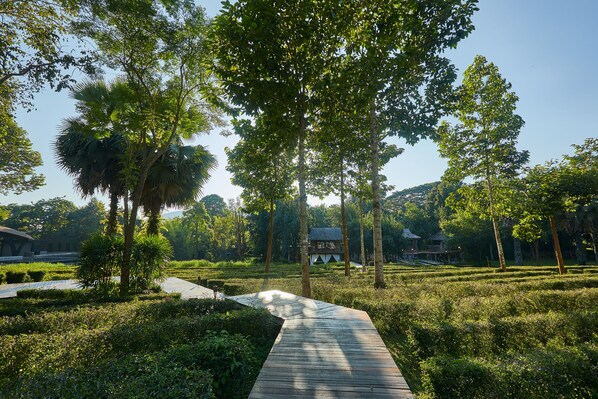 Un sendero de madera que serpentea por un jardín exuberante, con árboles altos y un edificio al fondo.