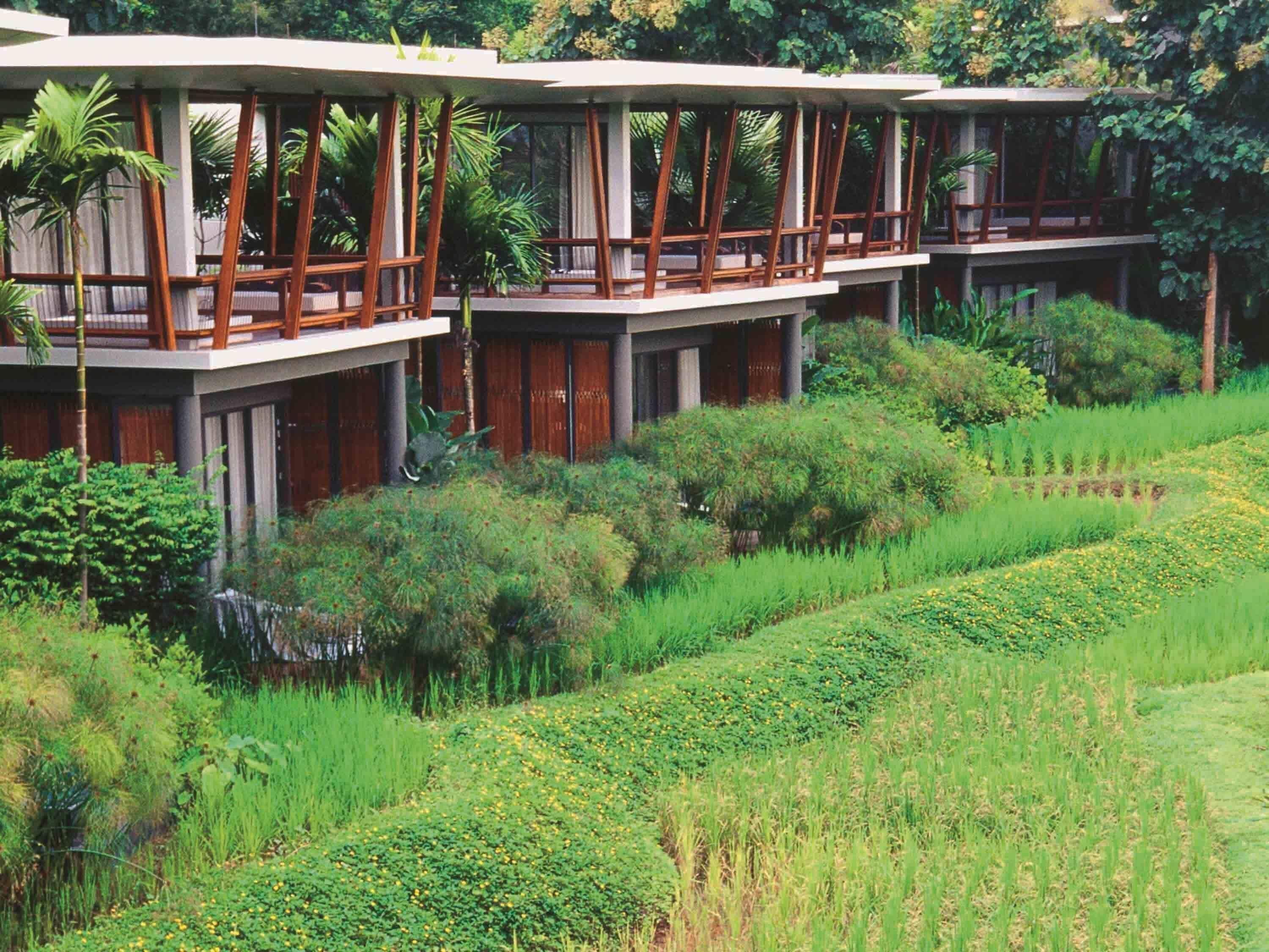 Foto - Veranda High Resort Chiang Mai - MGallery