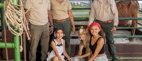 Un grupo de personas en un entorno rural, con una vaca y su ternero, de pie cerca de una estructura metálica verde.