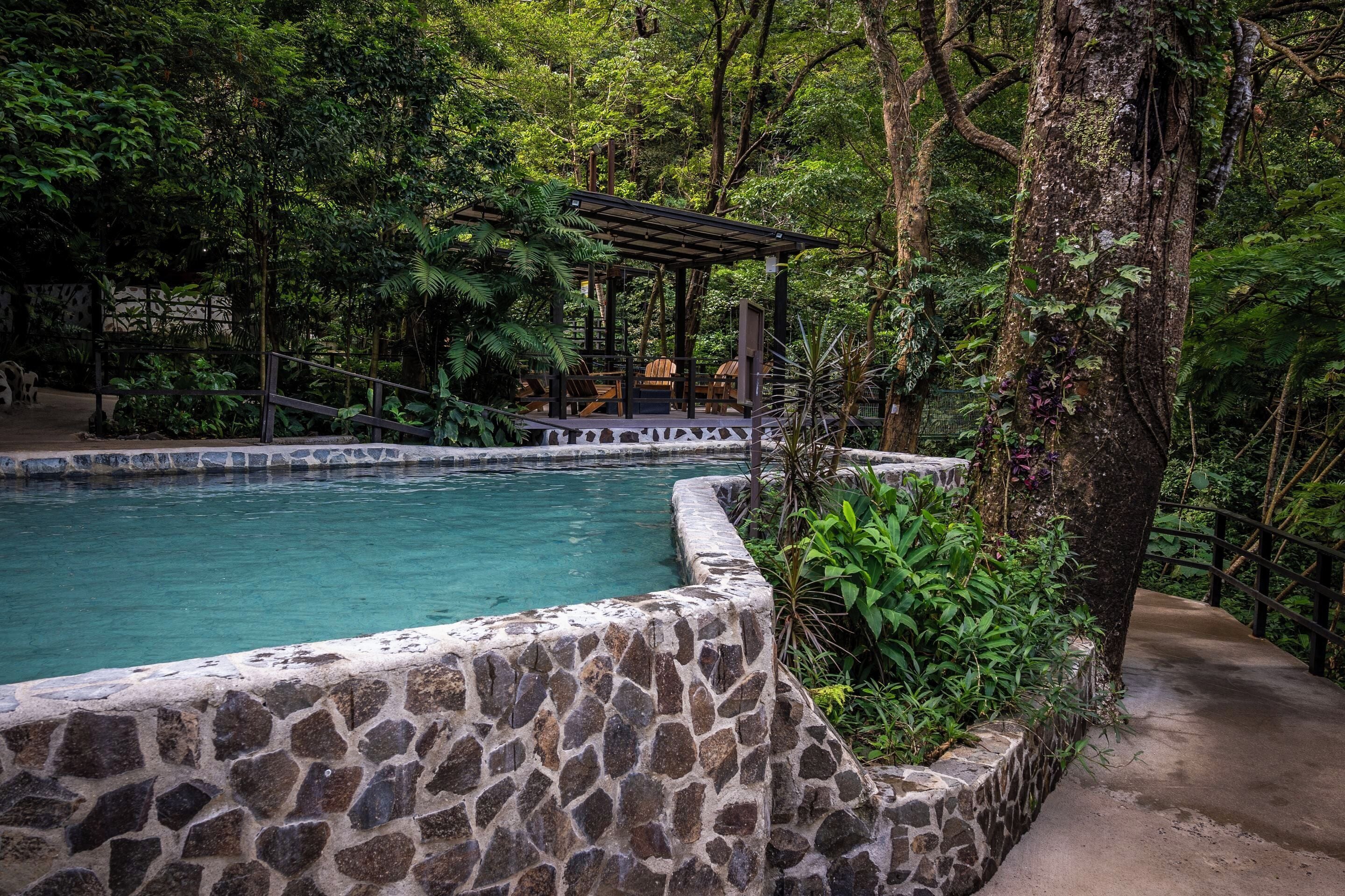 A stone-walled pool surrounded by lush greenery and a wooden deck with chairs.
