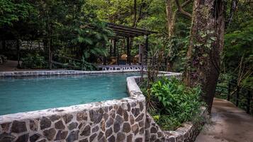 A stone-walled pool surrounded by lush greenery and a wooden deck with chairs.