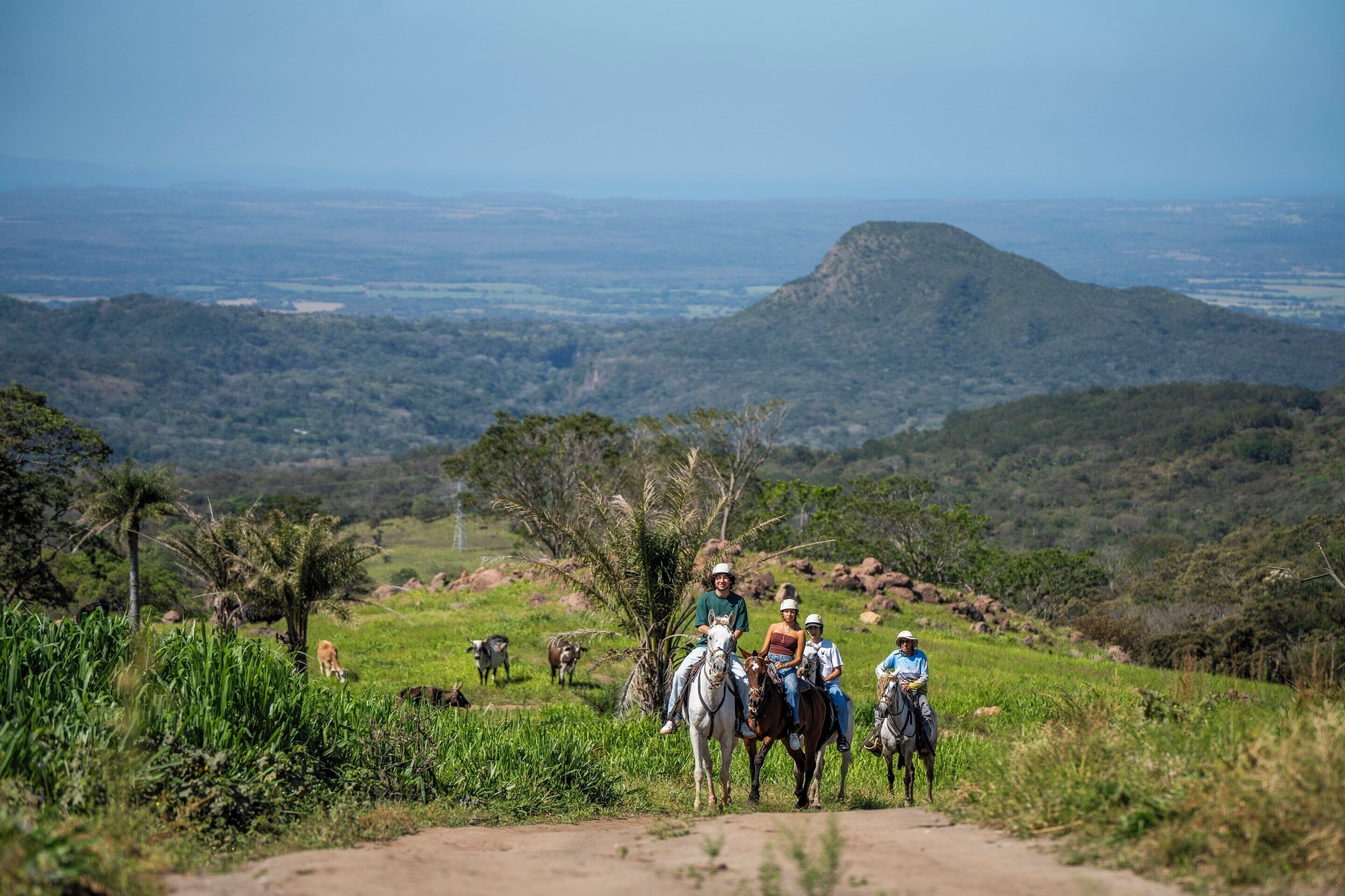 A group of people riding horses on a dirt path surrounded by greenery and hills.