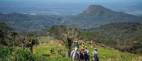A group of people riding horses on a dirt path surrounded by greenery and hills.