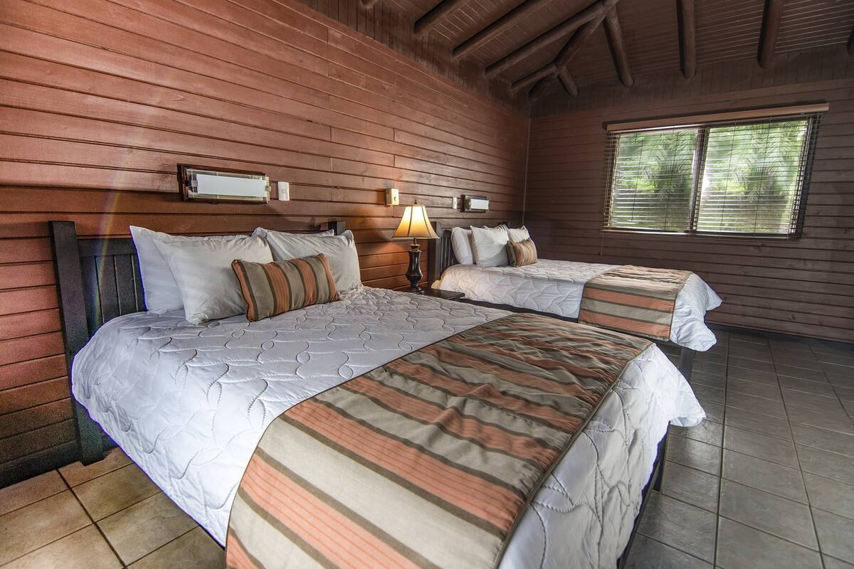 Une chambre avec deux lits, des murs en bois, une fenêtre et une lampe.