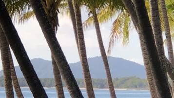 Site dâintĂ©rĂȘt