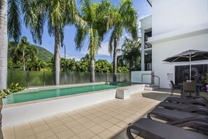 Outdoor pool, sun loungers - Elysium Apartments (Palm Cove)