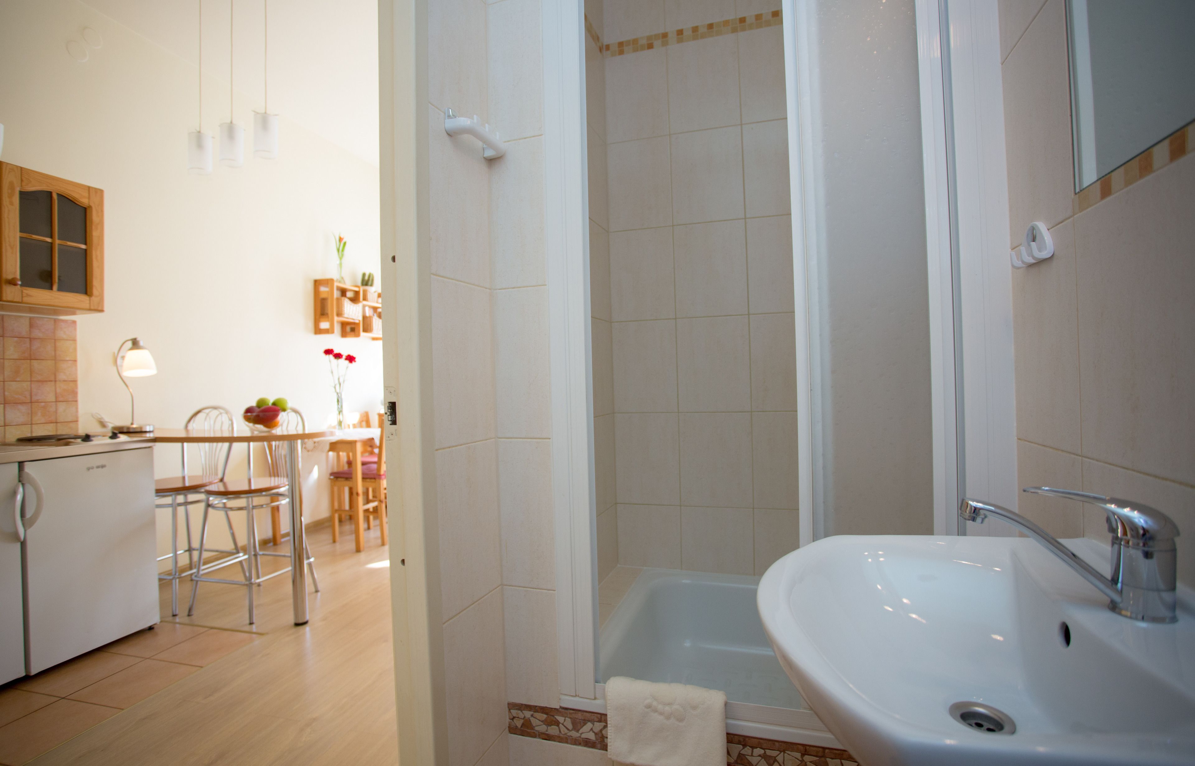 Une salle de bain avec un lavabo, une douche et un petit coin cuisine équipé d’un réfrigérateur et de chaises.